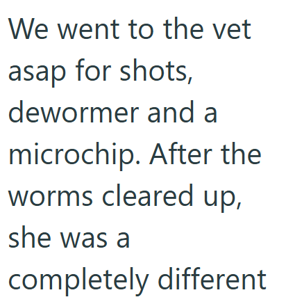 Cheezburger Image 10609705728