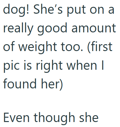 Cheezburger Image 10609705984