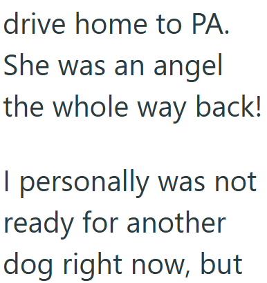 Cheezburger Image 10609706240