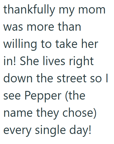 Cheezburger Image 10609706496