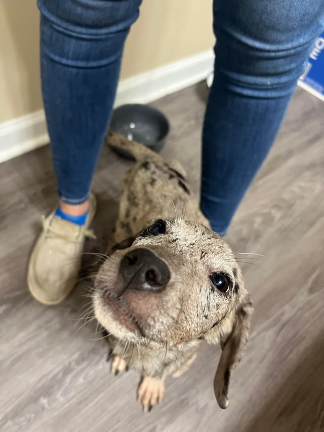 Cheezburger Image 10609708288