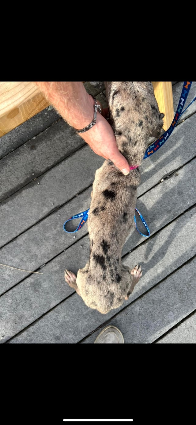 Cheezburger Image 10609708800