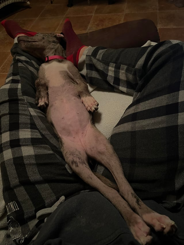 Cheezburger Image 10609709056