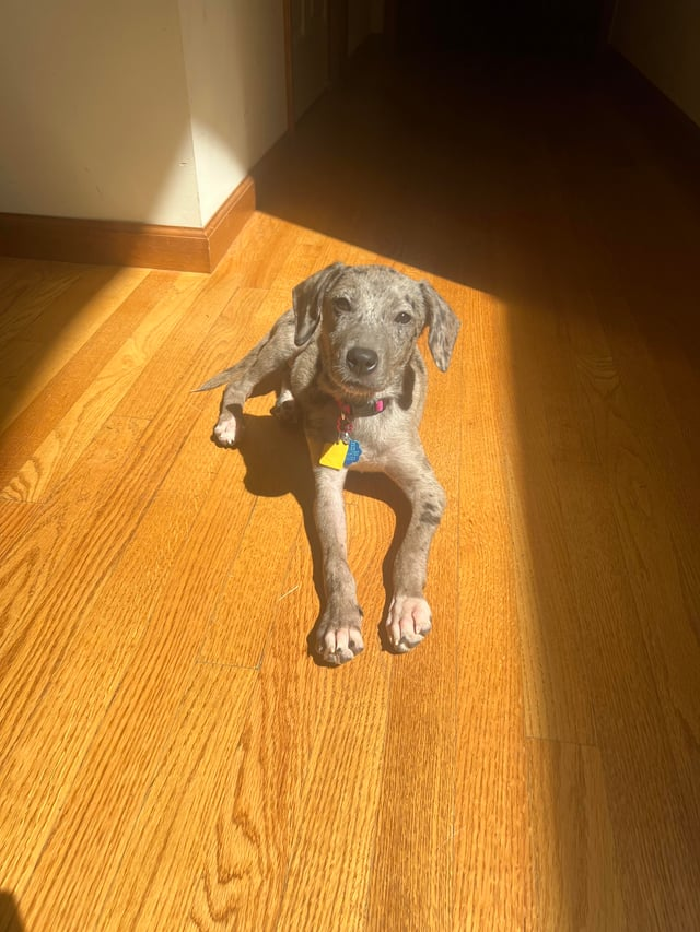 Cheezburger Image 10609709568