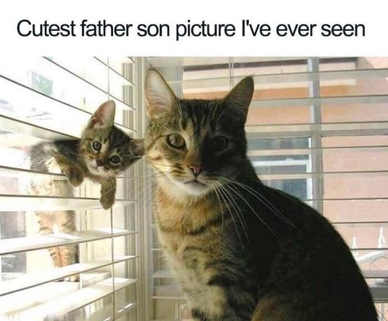 Cutest father son picture I've ever seen