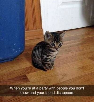 When you're at a party with people you don't know and your friend disappears