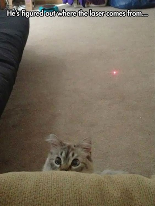 He's figured out where the laser comes from...