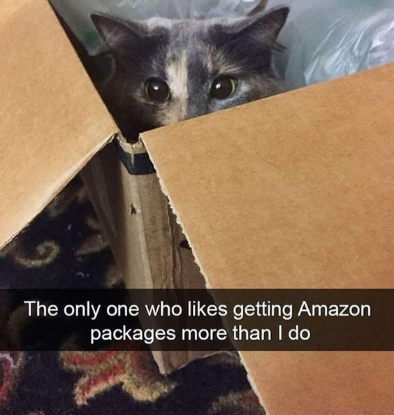 The only one who likes getting Amazon packages more than I do
