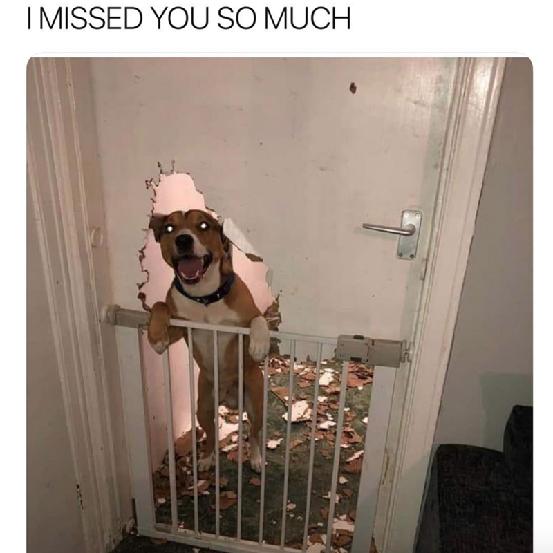 I MISSED YOU SO MUCH