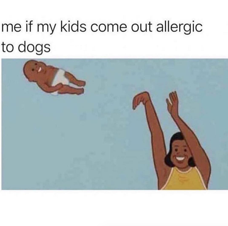 me if my kids come out allergic to dogs