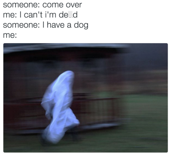 someone: come over me: I can't i'm de_d someone: I have a dog me: