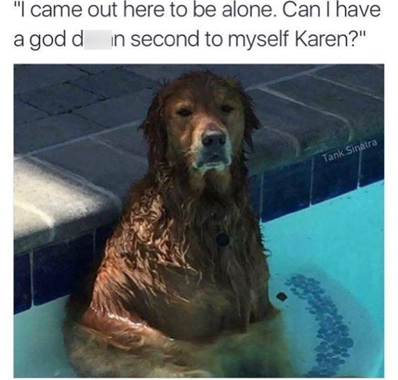 "I came out here to be alone. Can I have a god d in second to myself Karen?" Tank. Sinatra