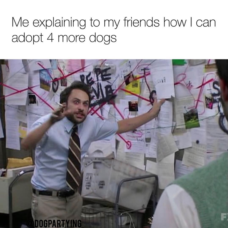 Me explaining to my friends how I can adopt 4 more dogs. RETE Seva F @DOGPARTYING