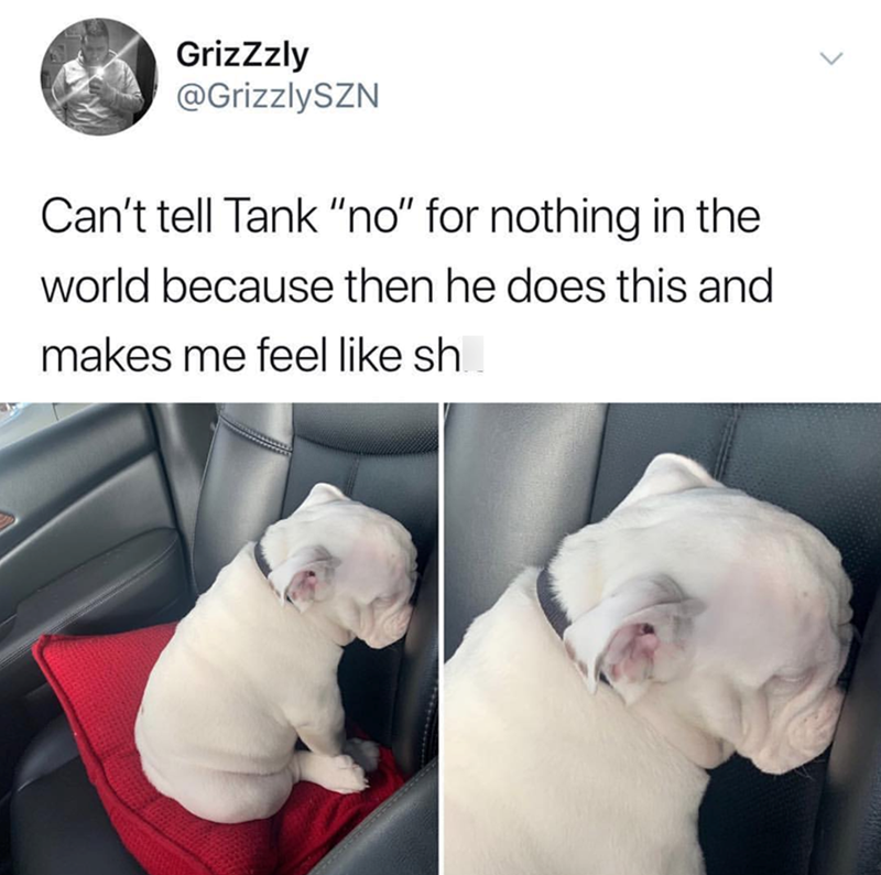 GrizZzly @GrizzlySZN Can't tell Tank "no" for nothing in the world because then he does this and makes me feel like sh