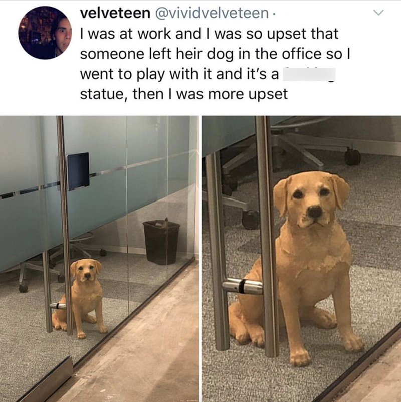 velveteen @vividvelveteen. I was at work and I was so upset that someone left heir dog in the office so I went to play with it and it's a statue, then I was more upset
