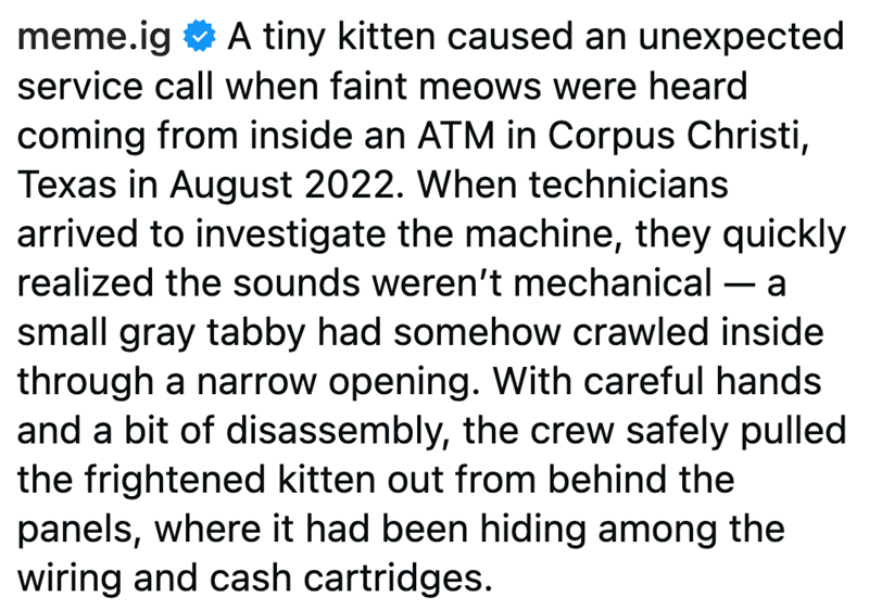 meme.ig A tiny kitten caused an unexpected service call when faint meows were heard coming from inside an ATM in Corpus Christi, Texas in August 2022. When technicians arrived to investigate the machine, they quickly realized the sounds weren't mechanical — a small gray tabby had somehow crawled inside through a narrow opening. With careful hands and a bit of disassembly, the crew safely pulled the frightened kitten out from behind the panels, where it had been hiding among the wiring and cash c
