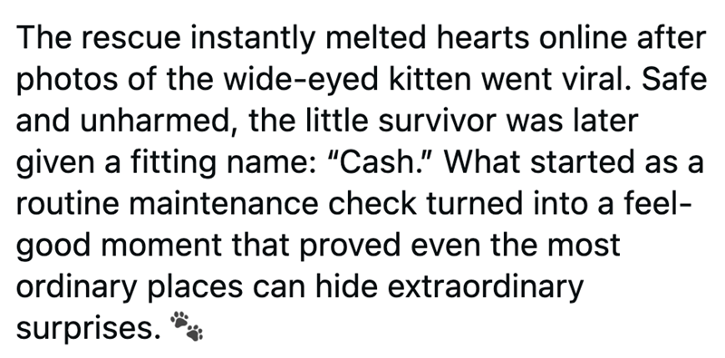 The rescue instantly melted hearts online after photos of the wide-eyed kitten went viral. Safe and unharmed, the little survivor was later given a fitting name: "Cash." What started as a routine maintenance check turned into a feel- good moment that proved even the most ordinary places can hide extraordinary surprises. **