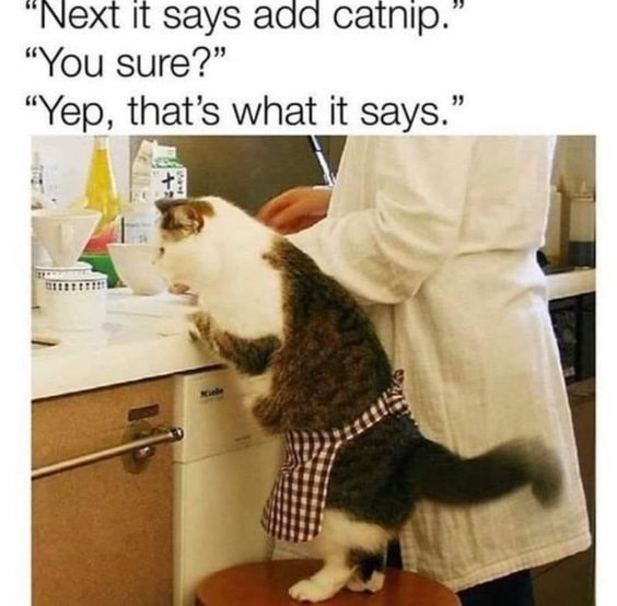 "Next it says add catnip." "You sure?" "Yep, that's what it says."