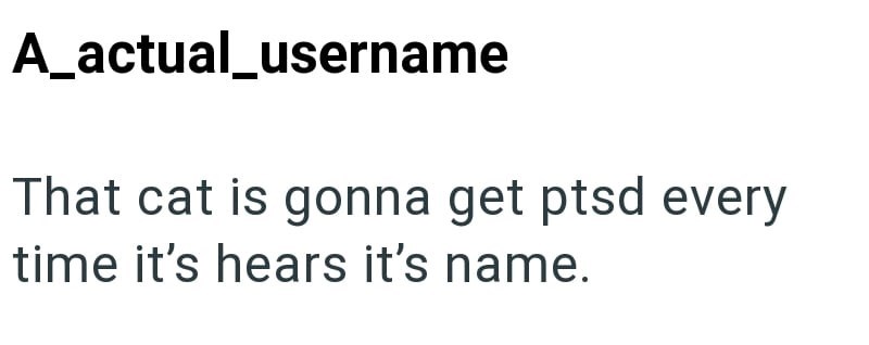 A_actual_username That cat is gonna get ptsd every time it's hears it's name.