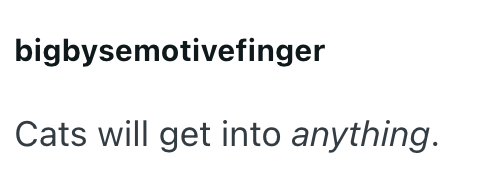 bigbysemotivefinger Cats will get into anything.