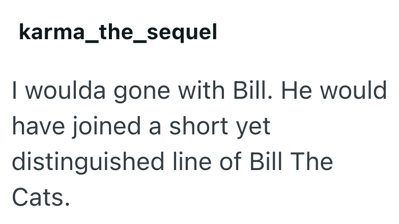 karma_the_sequel I woulda gone with Bill. He would have joined a short yet distinguished line of Bill The Cats.