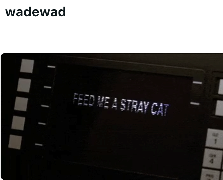 wadewad FEED ME A STRAY CAT 4