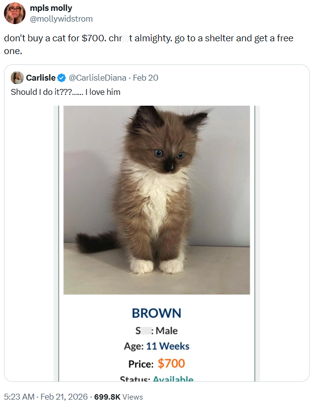 mpls molly @mollywidstrom don't buy a cat for $700. chr t almighty. go to a shelter and get a free one. Carlisle @CarlisleDiana - Feb 20 Should I do it???...... I love him BROWN S : Male Age: 11 Weeks Price: $700 Status: Available 5:23 AM - Feb 21, 2026 - 699.8K Views