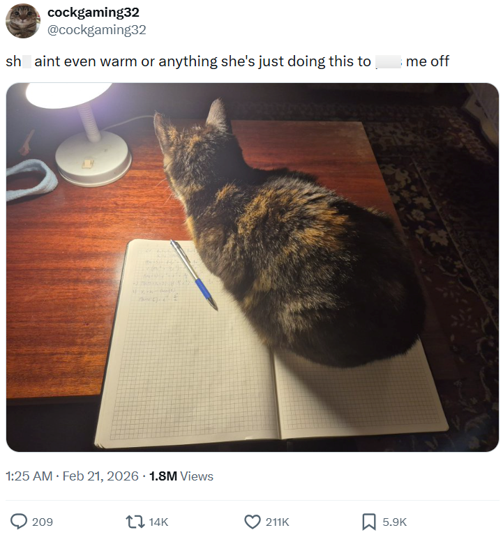 cockgaming32 @cockgaming32 sh aint even warm or anything she's just doing this to 1:25 AM • Feb 21, 2026 1.8M Views 209 tz 14K 211K 5.9K me off