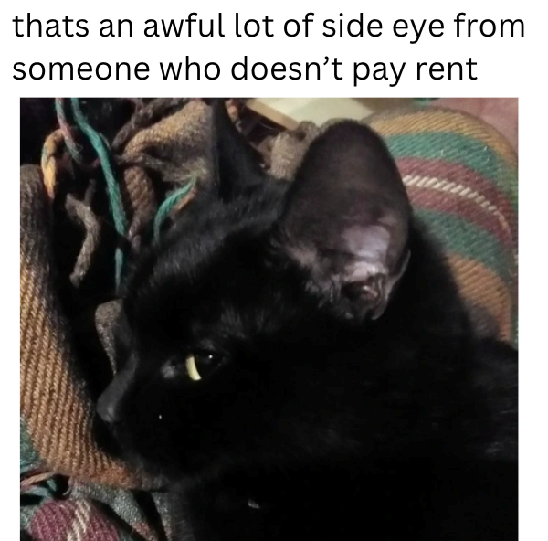 thats an awful lot of side eye from someone who doesn't pay rent