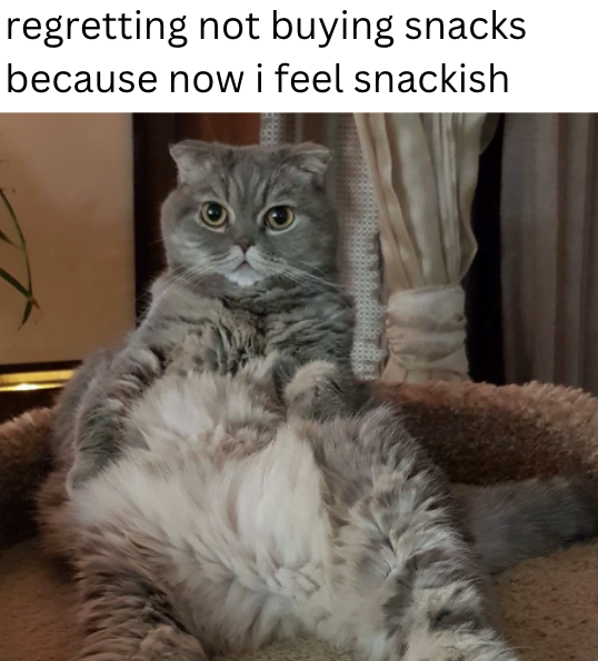 regretting not buying snacks because now i feel snackish