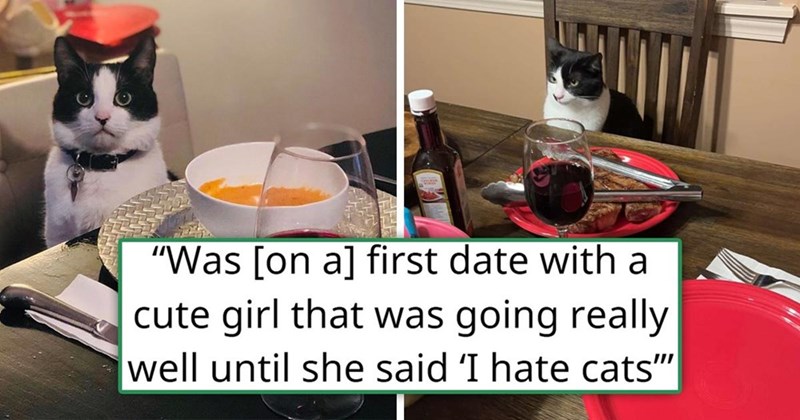 "Was [on a] first date with a cute girl that was going really well until she said 'I hate cats"