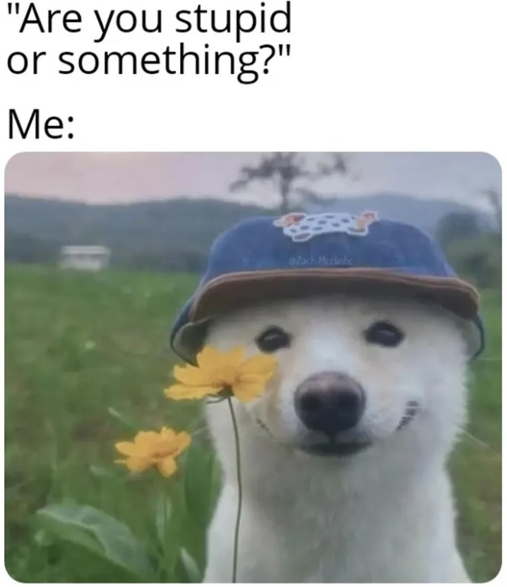 "Are you stupid or something?" Me: Zach Mcclintic