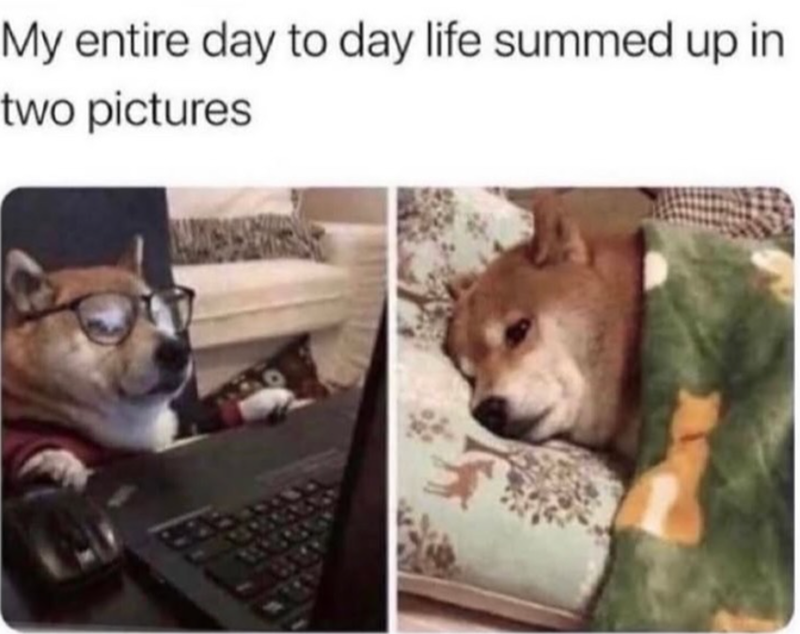 My entire day to day life summed up in two pictures