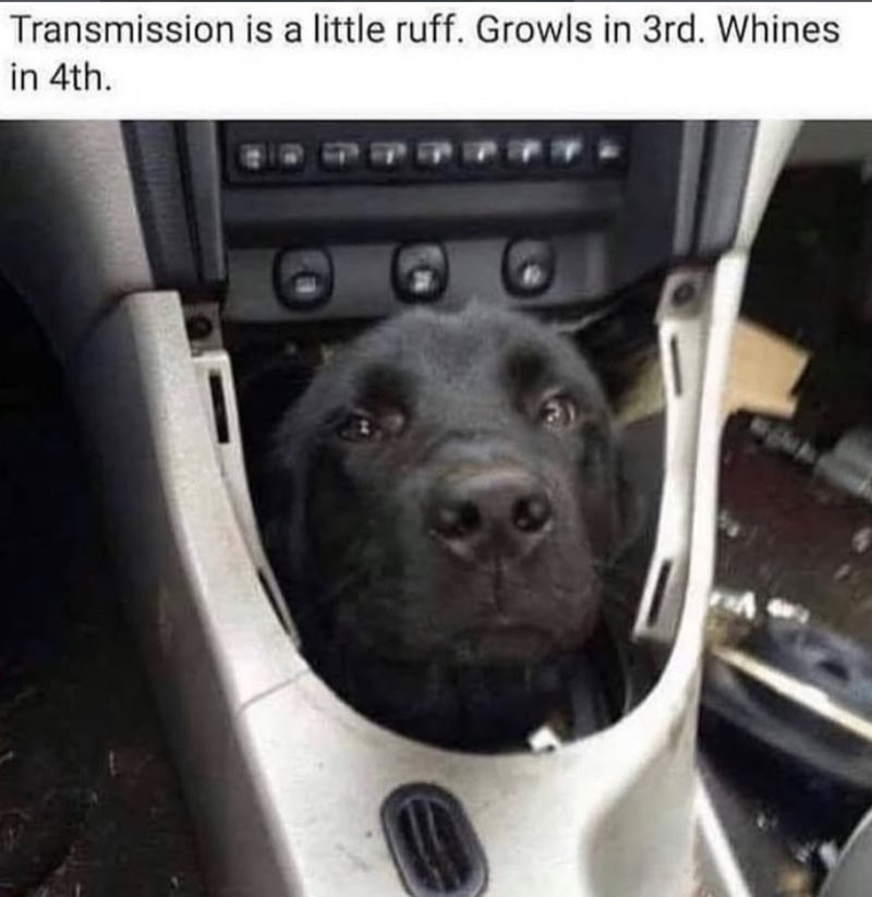 Transmission is a little ruff. Growls in 3rd. Whines in 4th.