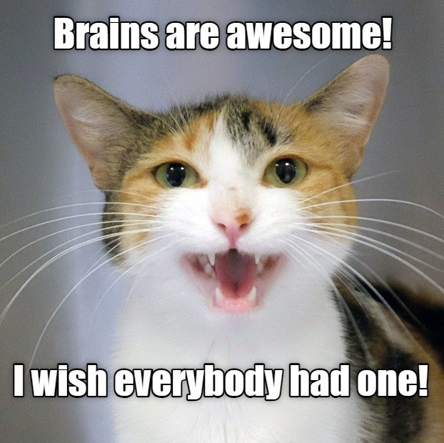 Brains are awesome! I wish everybody had one!