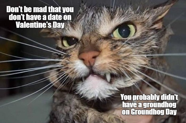 Don't be mad that you don't have a date on Valentine's Day You probably didn't have a groundhog on Groundhog Day