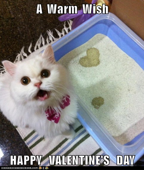A Warm Wish HAPPY VALENTINE'S DAY ICANHASCHEEZBURGER.COM