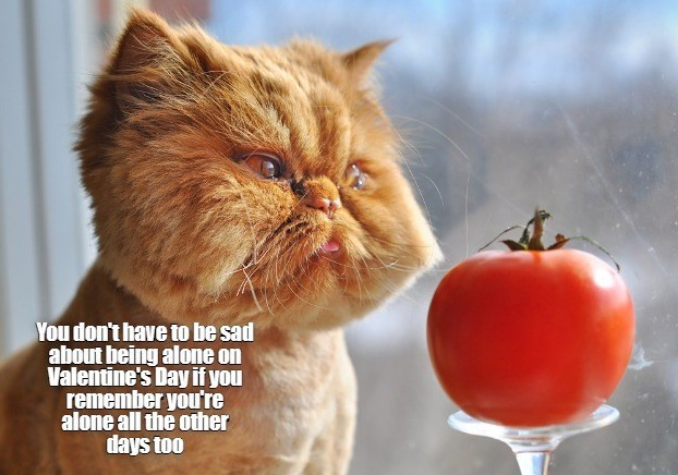 You don't have to be sad about being alone on Valentine's Day if you remember you're alone all the other days too