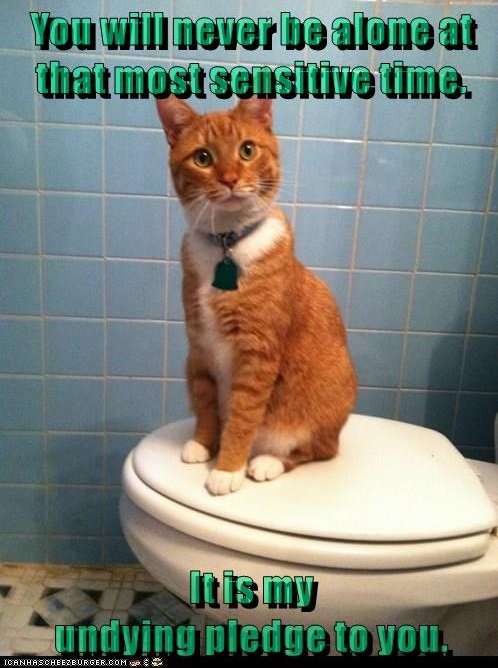 You will never be alone at that most sensitive time. Itis my undying pledge to you. ICANHASCHEEZBURGER.COM