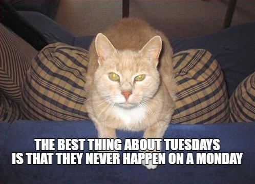 THE BEST THING ABOUT TUESDAYS IS THAT THEY NEVER HAPPEN ON A MONDAY