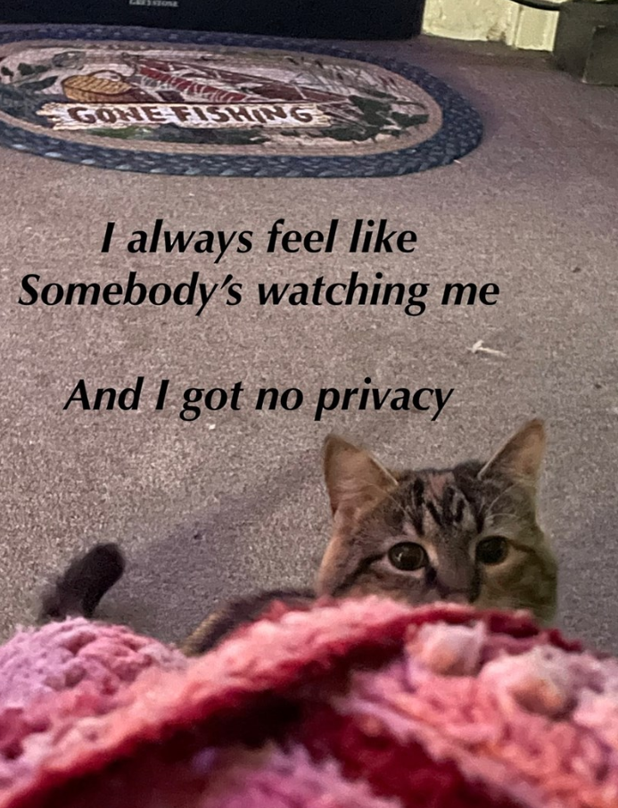 GONE FISHING I always feel like Somebody's watching me And I got no privacy