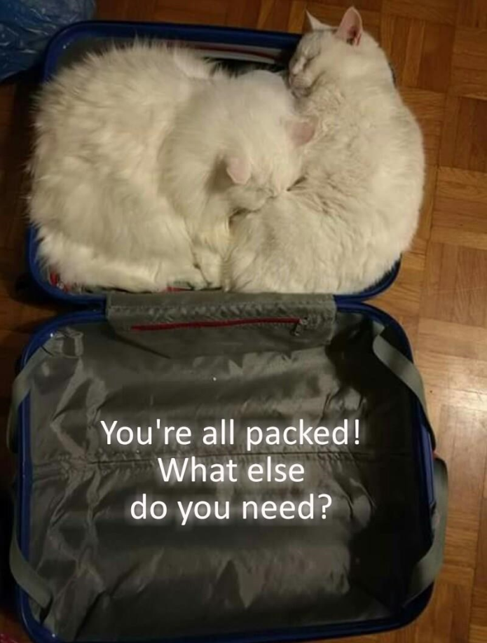You're all packed! What else do you need?