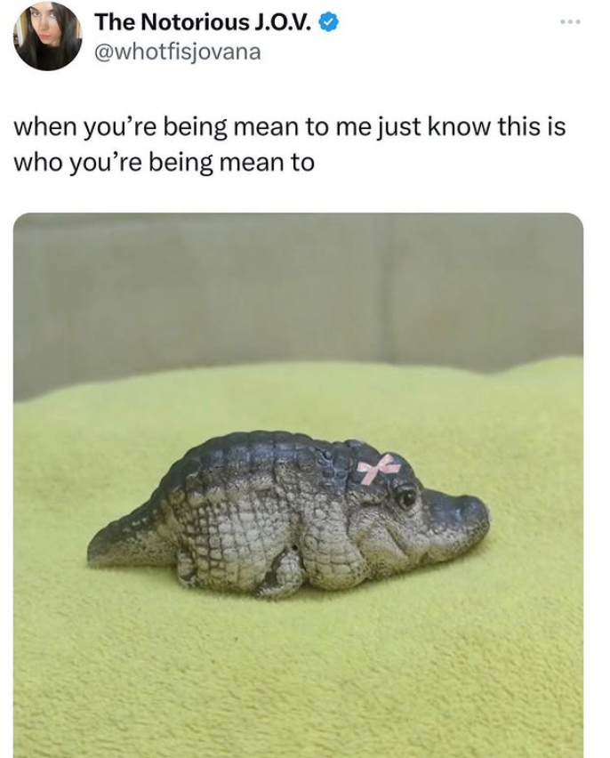 The Notorious J.O.V. @whotfisjovana when you're being mean to me just know this is who you're being mean to