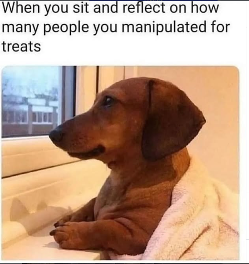 When you sit and reflect on how many people you manipulated for treats
