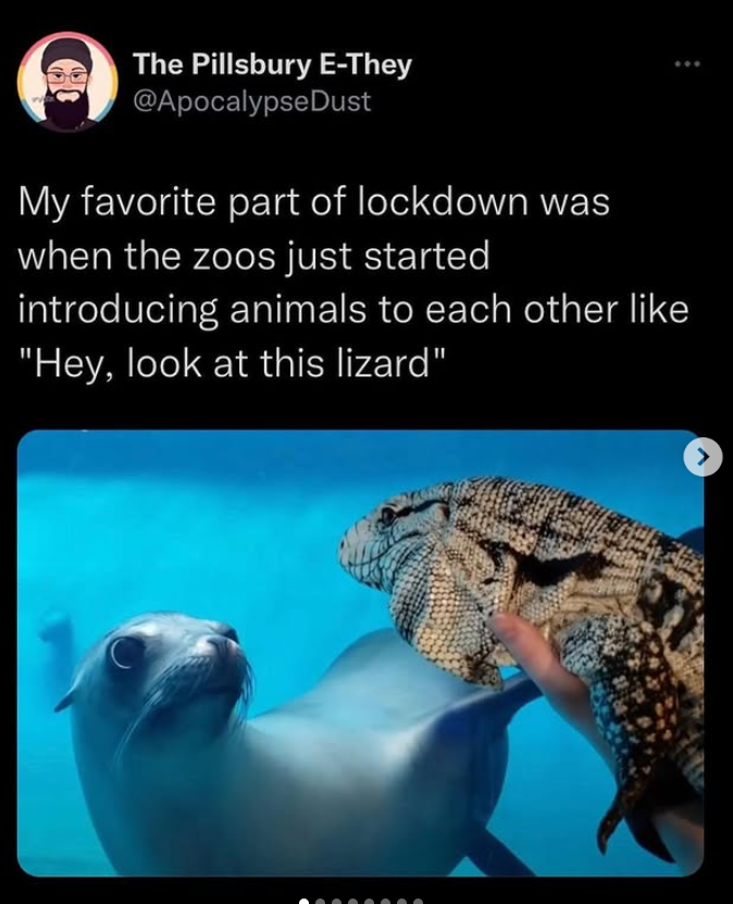 The Pillsbury E-They @Apocalypse Dust My favorite part of lockdown was when the zoos just started introducing animals to each other like "Hey, look at this lizard" >