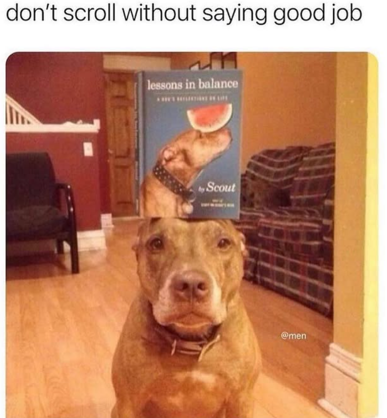don't scroll without saying good job lessons in balance by Scout @men