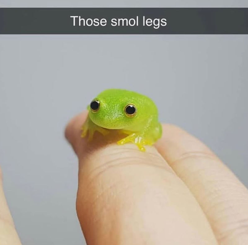 Those smol legs