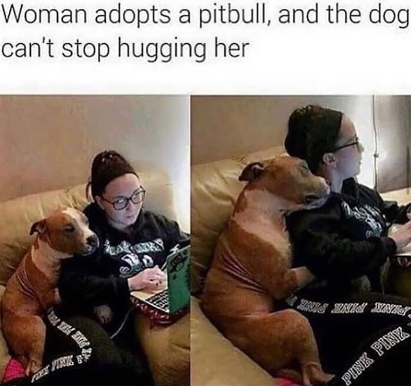 Woman adopts a pitbull, and the dog can't stop hugging her PINK PINK