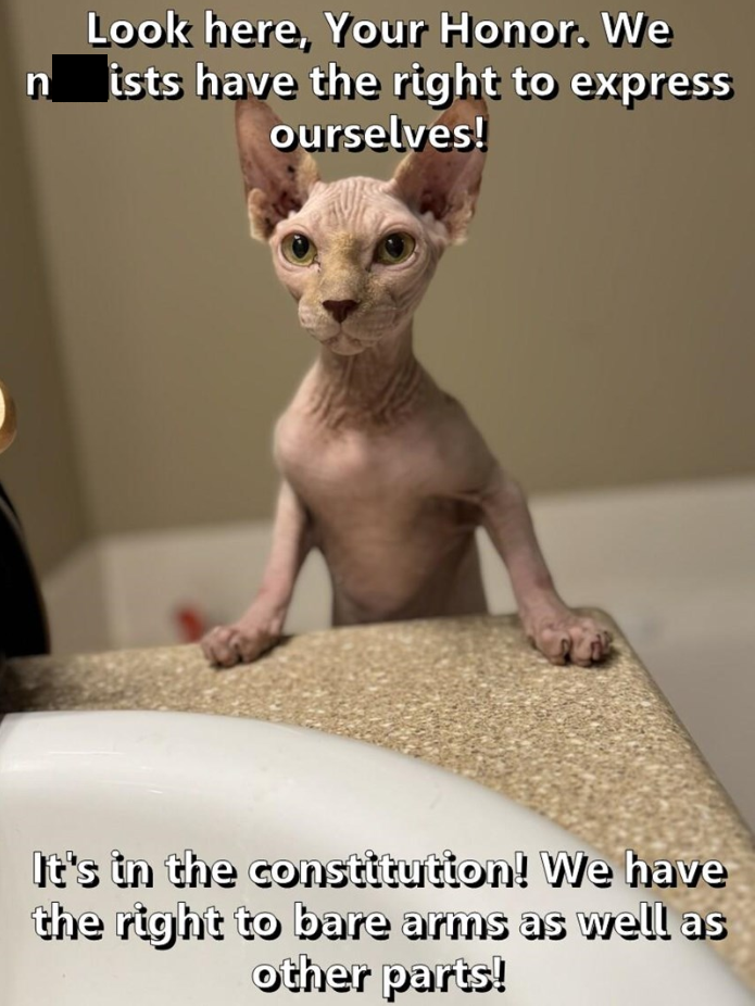 n Look here, Your Honor. We ists have the right to express ourselves! It's in the constitution! We have the right to bare arms as well as other parts!