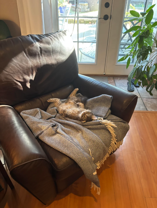 Cheezburger Image 10609813760